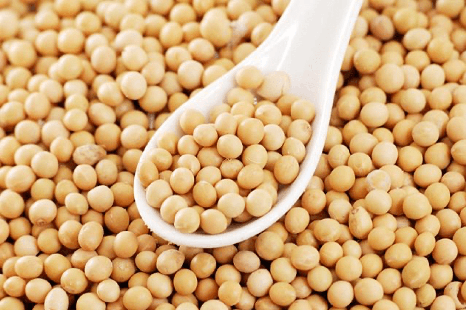 Soybeans for the Preservation of Youth
