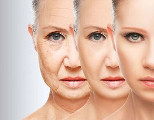 Factors of influence on the natural and premature ageing